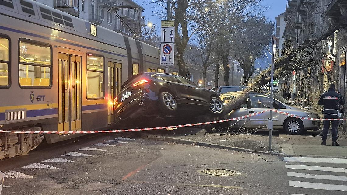 Incidente in corso Belgio a Torino: si riaccende lo scontro sugli alberi e sullo spostamento dei binari del tram