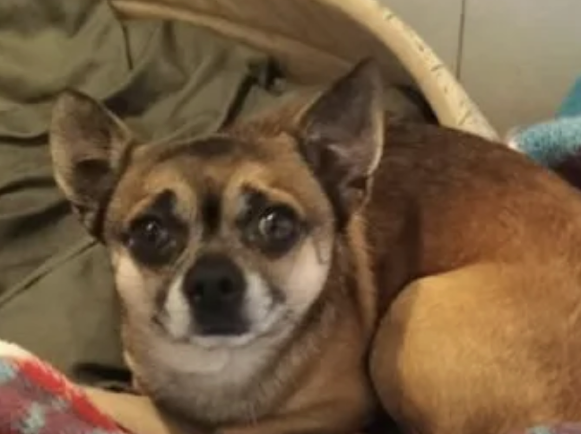 Da Cuorgn&egrave; a Caluso