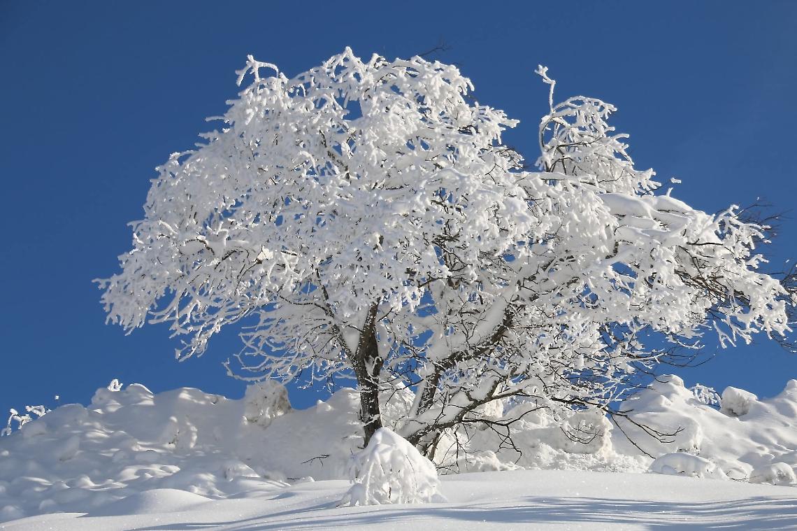 Neve fresca e cielo terso