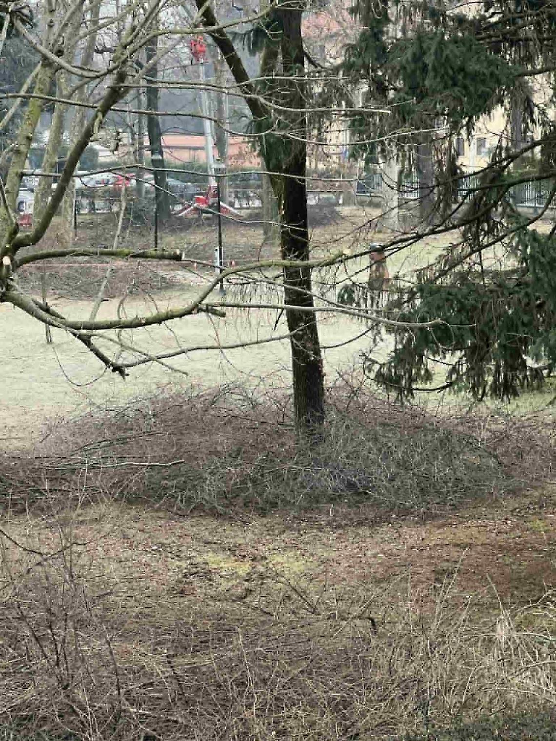 Fervet opus, parco Martinotti a Favria.