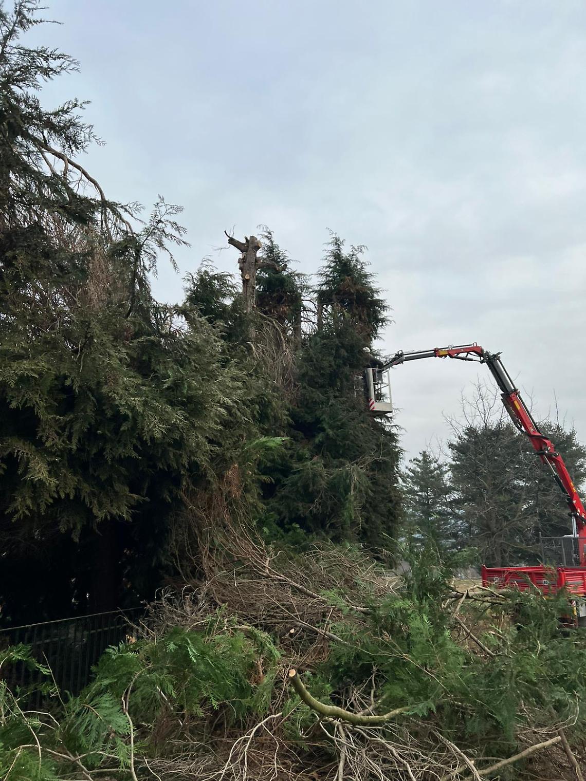 Fotovoltaico all&rsquo;ombra, alberi tagliati e bambini a scuola: a Cossano il cantiere &egrave; una farsa