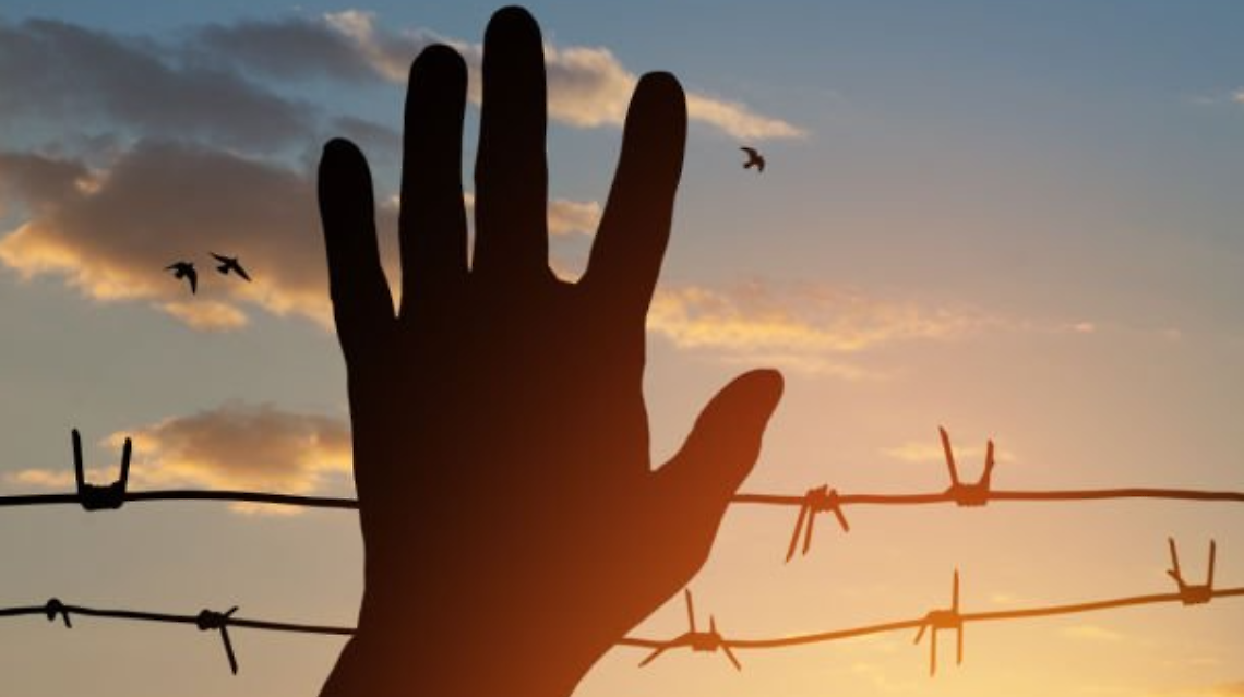 Venaria Reale celebra la Giornata della Memoria 2026