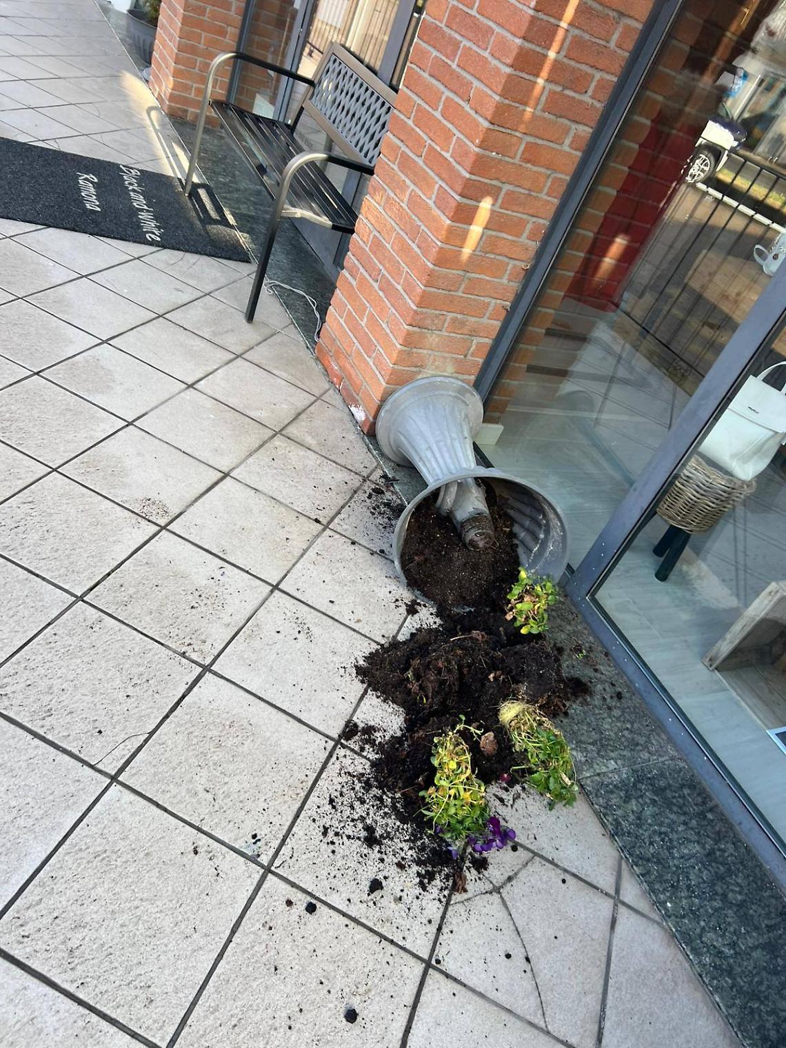 Vandali in festa a Borgofranco: vasi rovesciati, furti e arredi distrutti