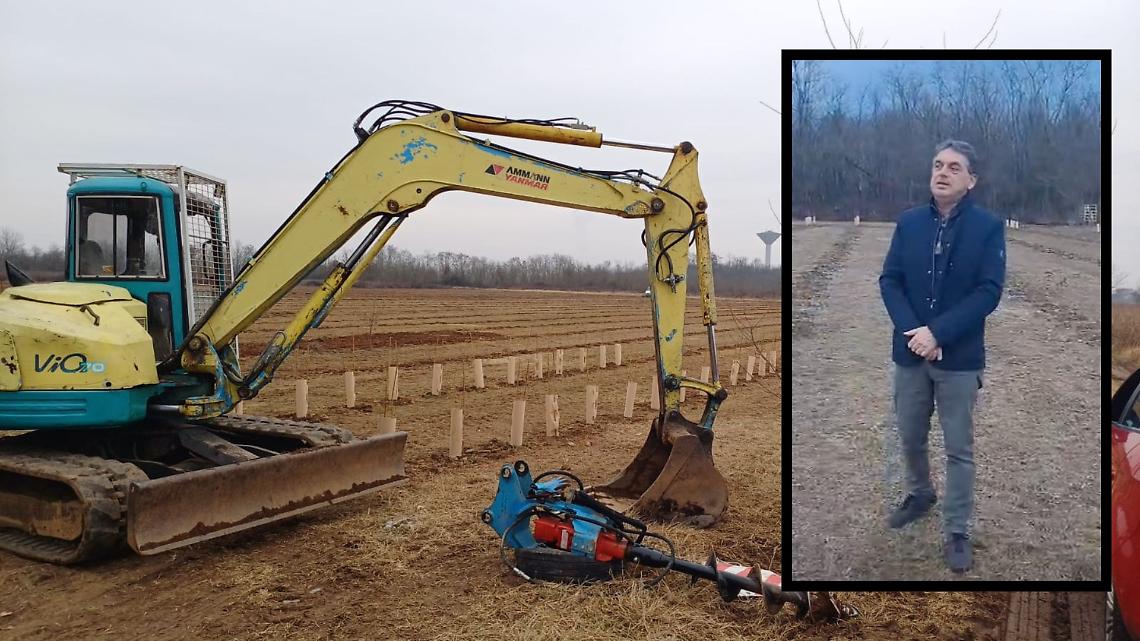 Alberi sul terreno del bacino Careri