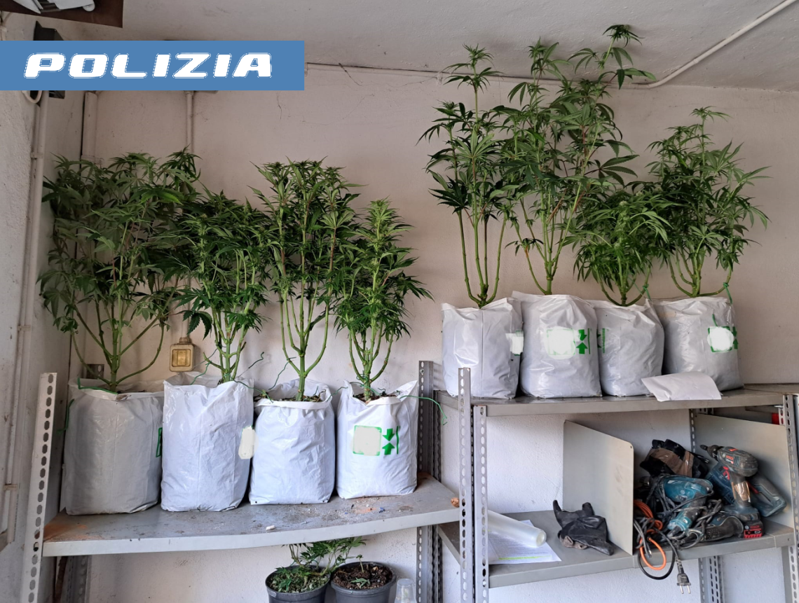 La puzza insospettisce