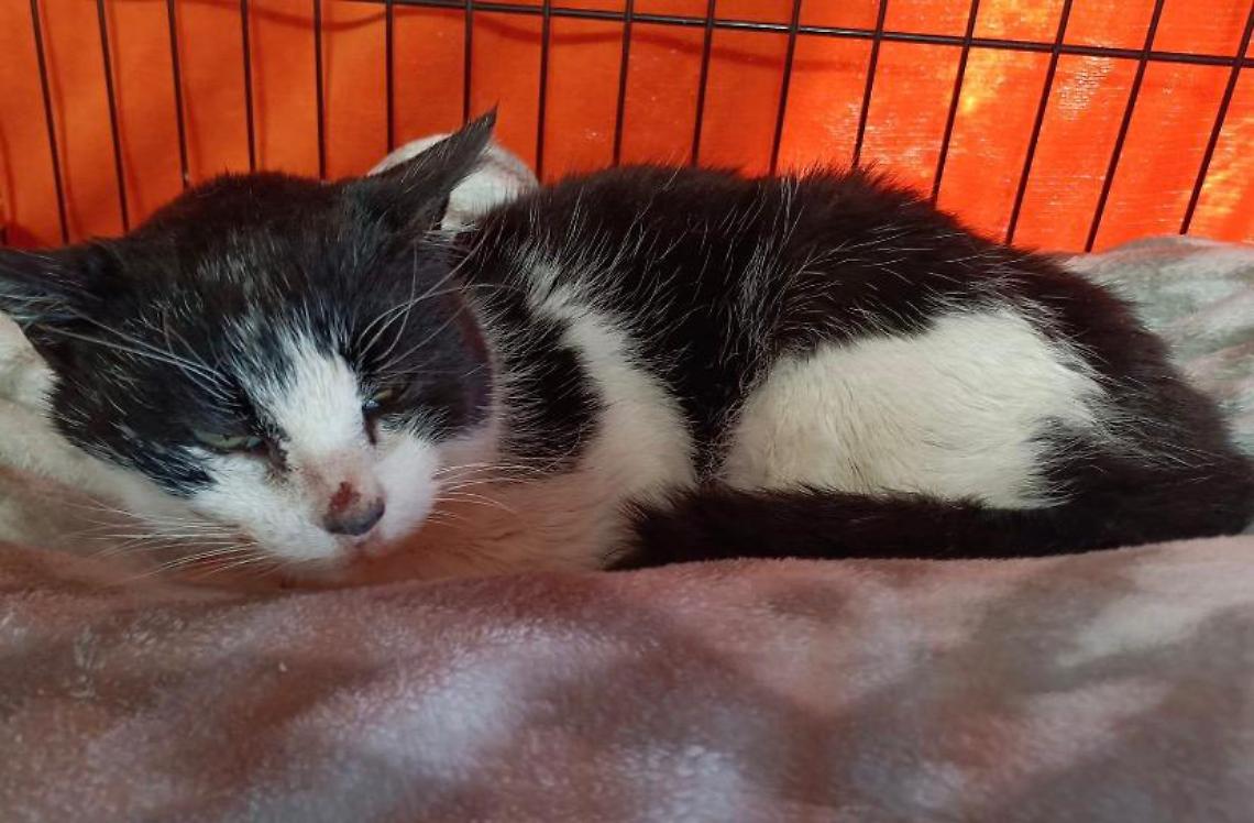 Tra le tombe ha imparato a consolare i vivi. Fuori dal cimitero ha trovato l&rsquo;amore