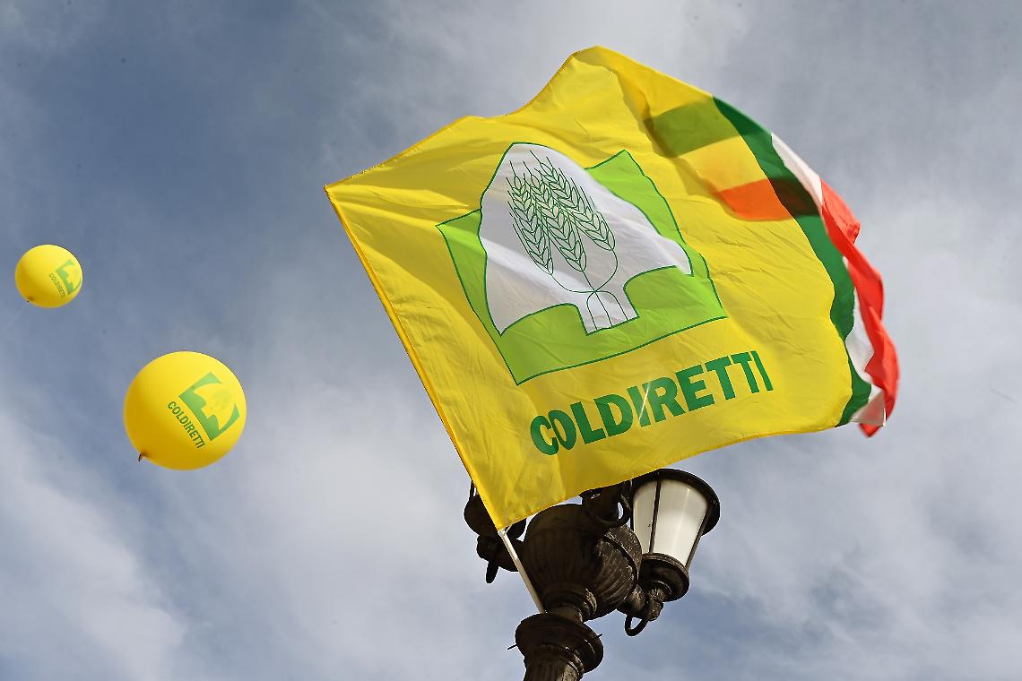 Frodi agroalimentari, svolta dopo 11 anni: arriva la nuova legge