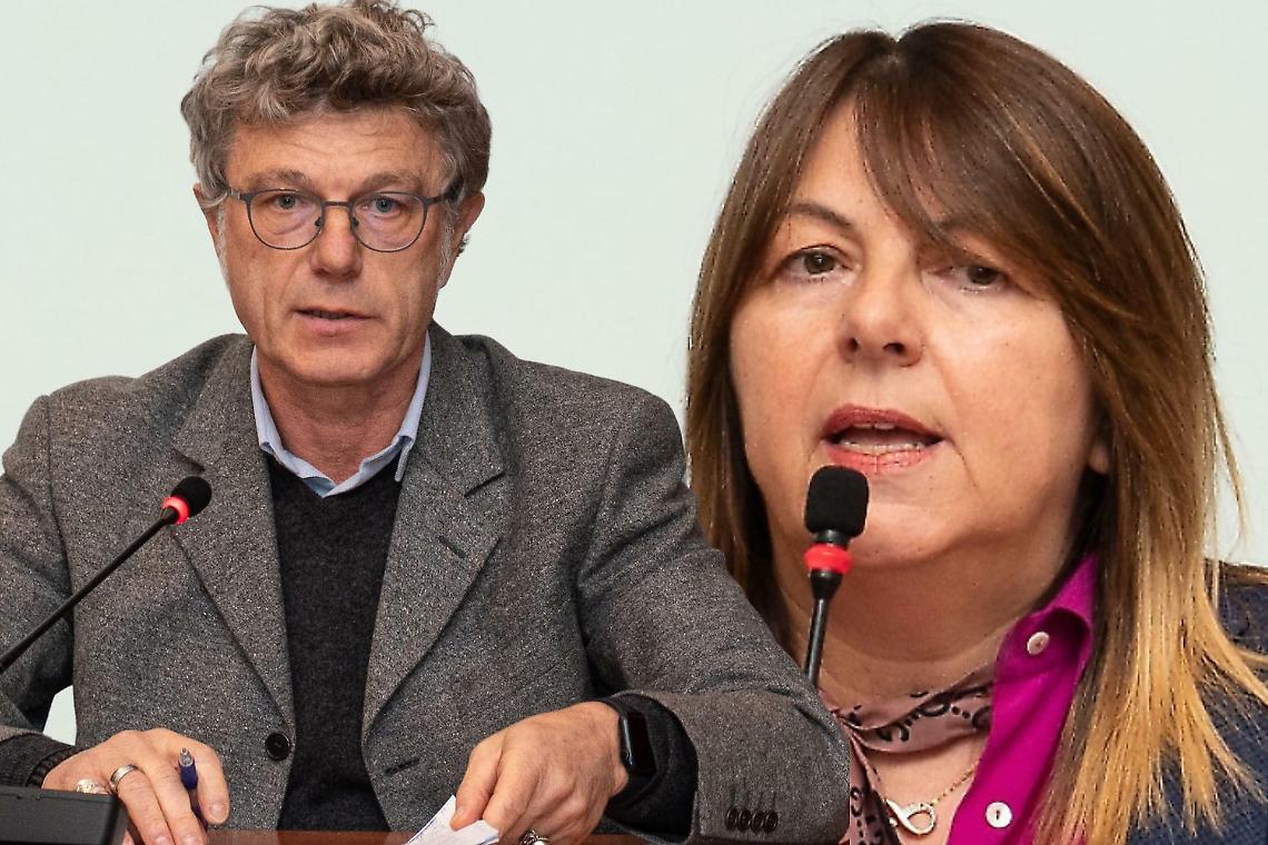 Orti urbani di San Grato, il disastro dell&rsquo;amianto. Elisabetta Piccoli punta il dito su Comotto