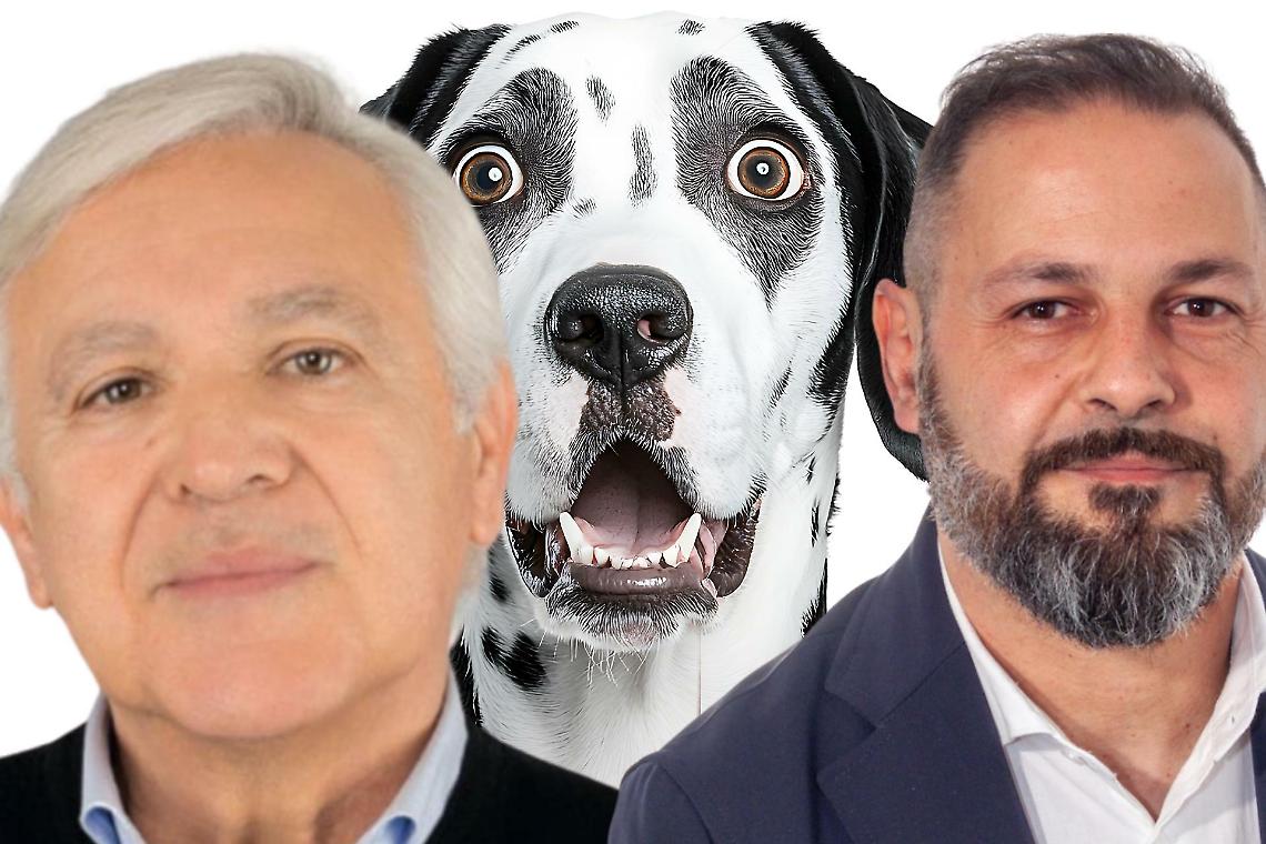 &ldquo;Dimettiti!&rdquo;. Brino sotto accusa in Consiglio per 14 mesi di silenzi su cani e gatti