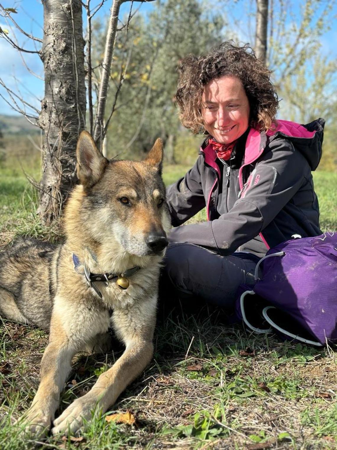 Il valore dell'animo 