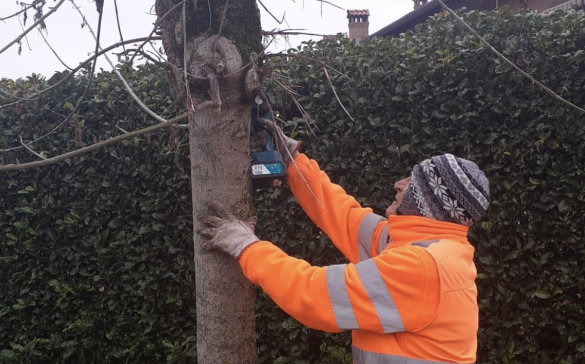 Quando la cura del verde