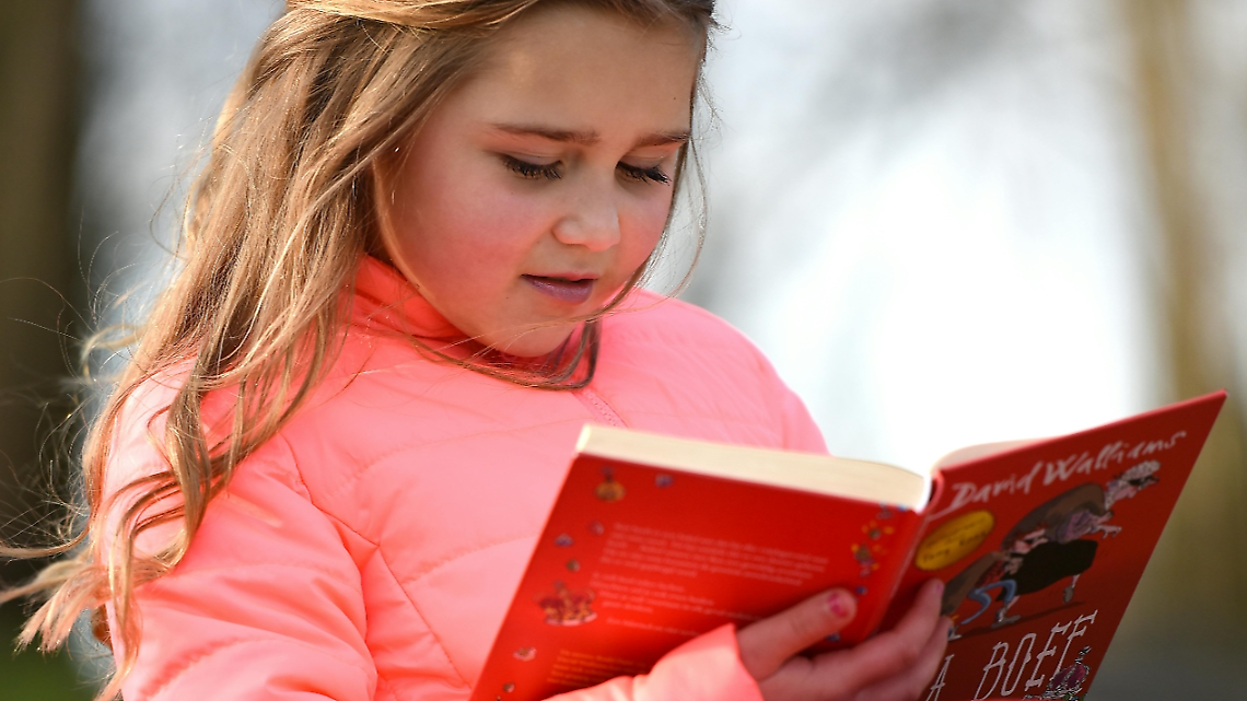 Il Mercatino Volpino accende la sostenibilit&agrave;: libri in scambio per crescere insieme