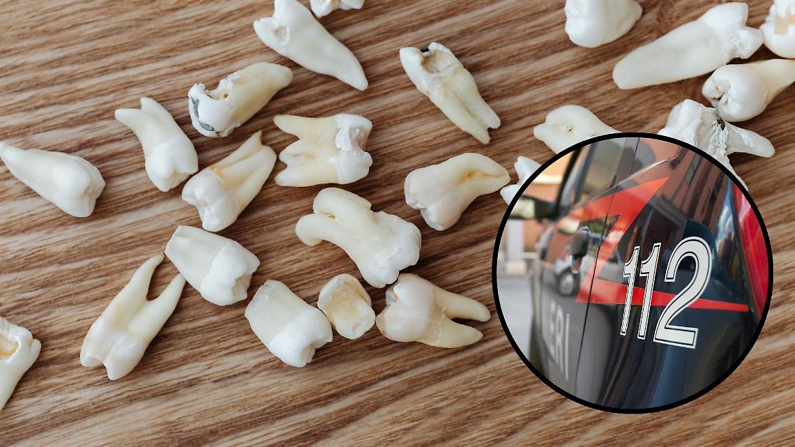 Strappa undici denti 