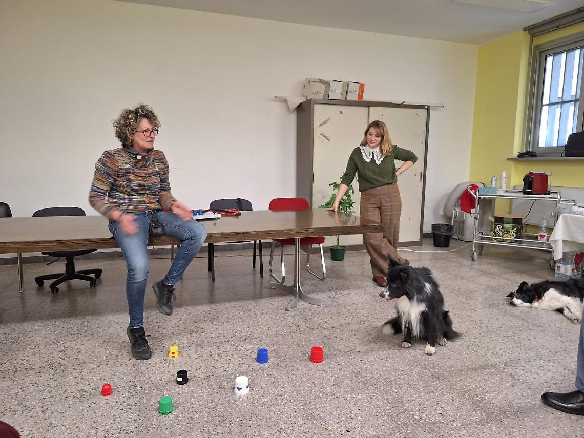 Il cane entra in corsia: a Ciri&egrave; la Pet Therapy diventa parte della cura