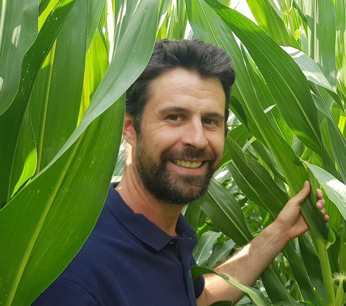 Etichette sotto accusa