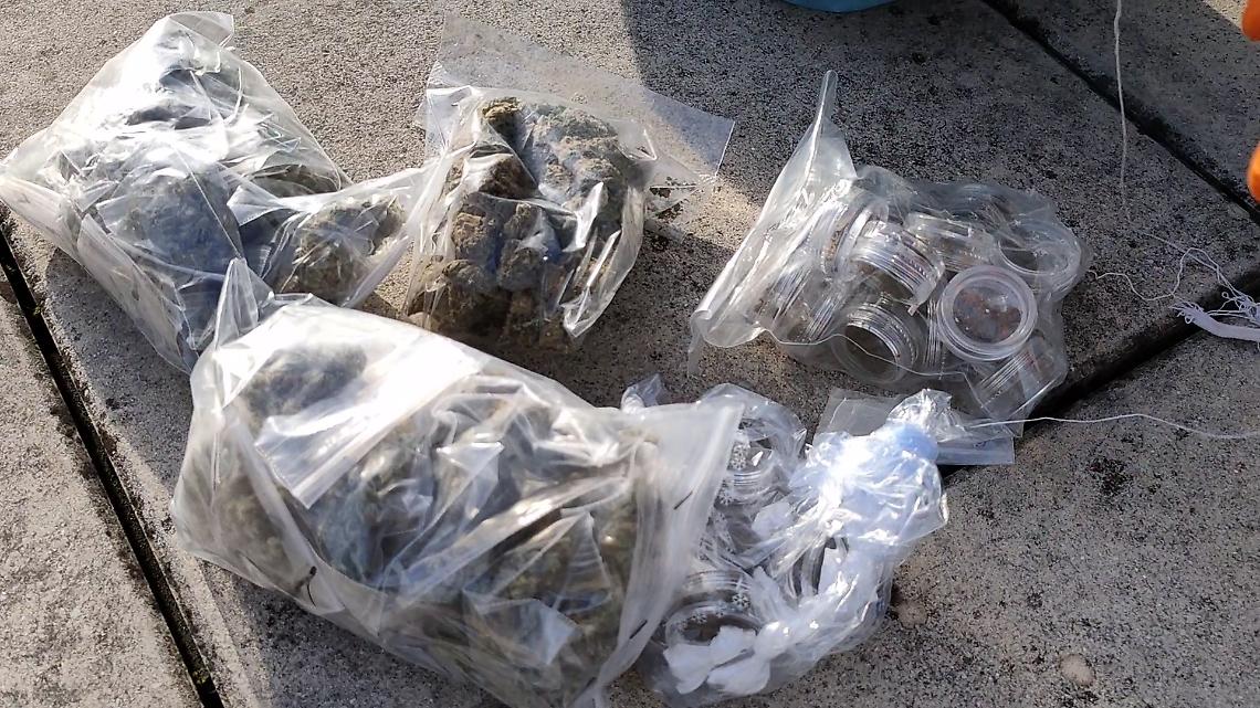 Sessantasei chili di marijuana