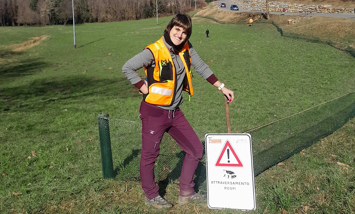 Rospi in marcia sotto la pioggia: scatta la corsa contro le stragi sull&rsquo;asfalto