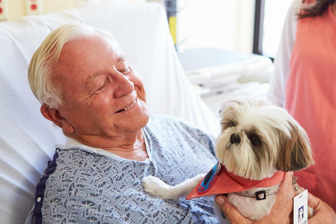 Cani e gatti contro la solitudine: la Lega porta la pet therapy in Consiglio