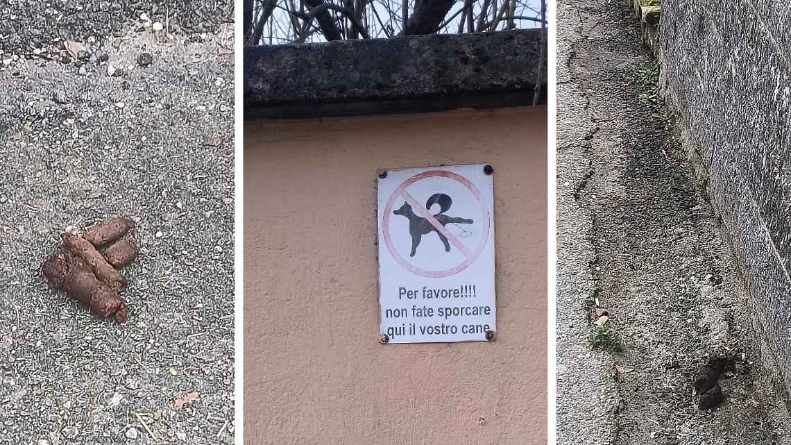 Le cacche dei cani in via Mazzini a Brusasco