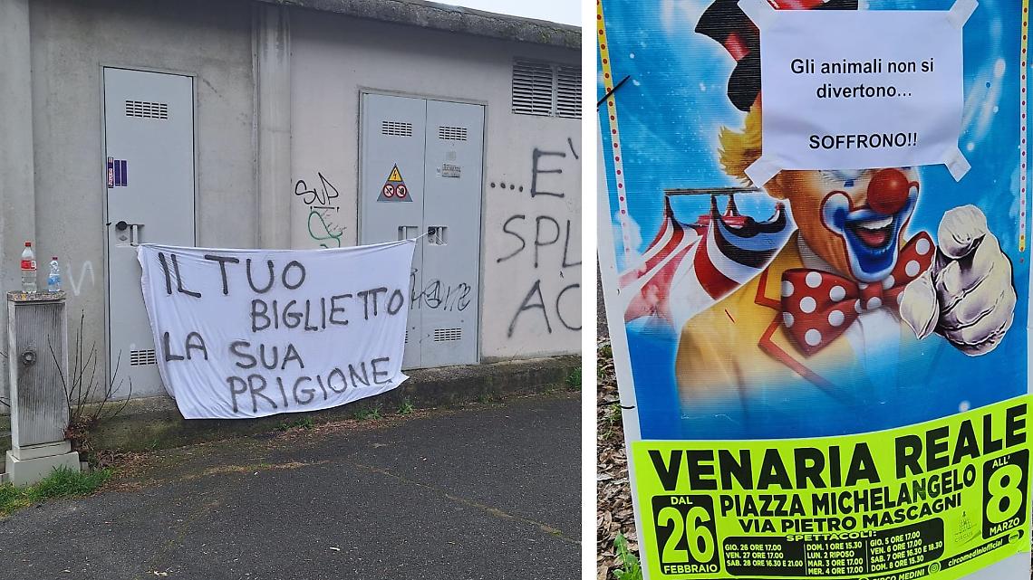 La protesta contro il circo Medini a Venaria Reale