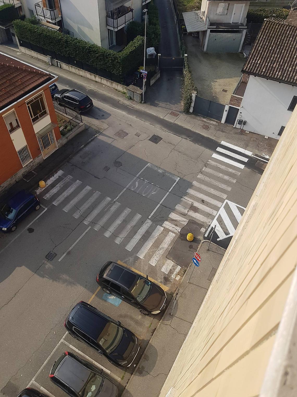 Area cani con sorpresa: separati sulla carta, uniti sotto la rete