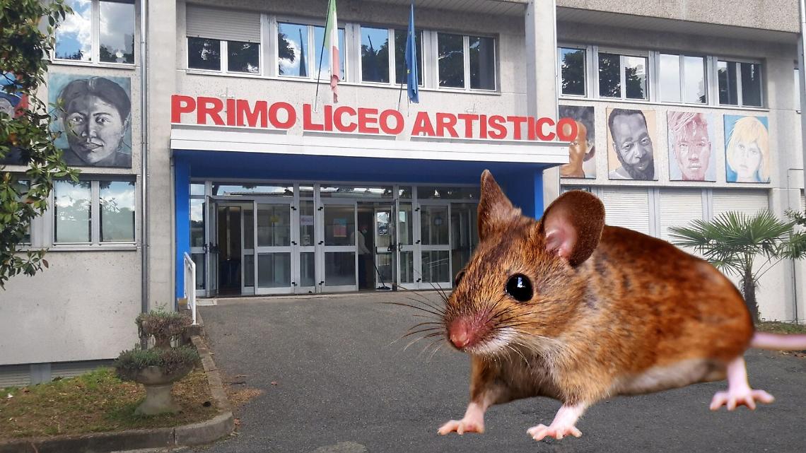 Topo nelle aule del Primo liceo artistico a Torino: gli studenti protestano
