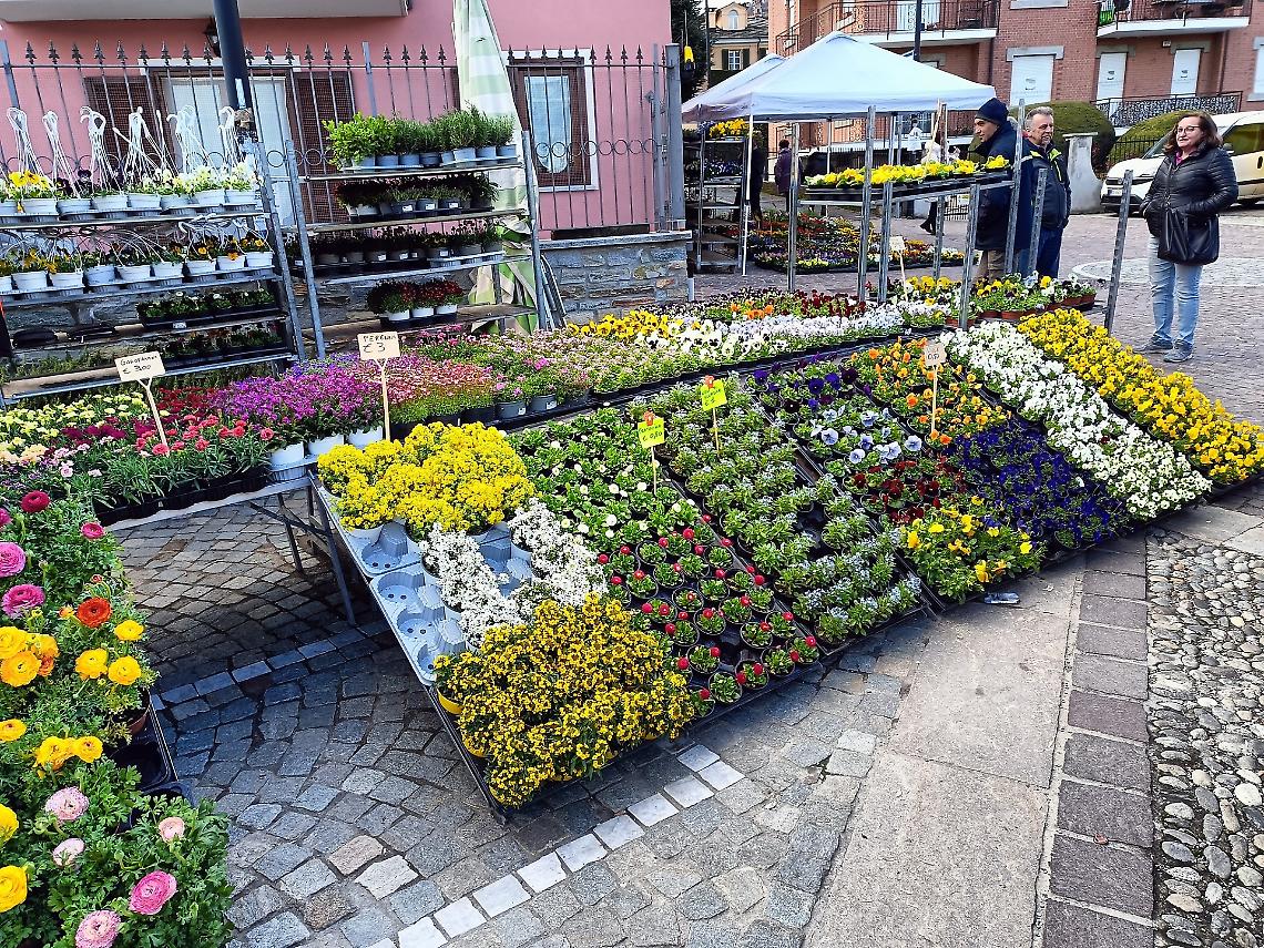 Tra natura e cultura torna la Fiera di San Giuseppe