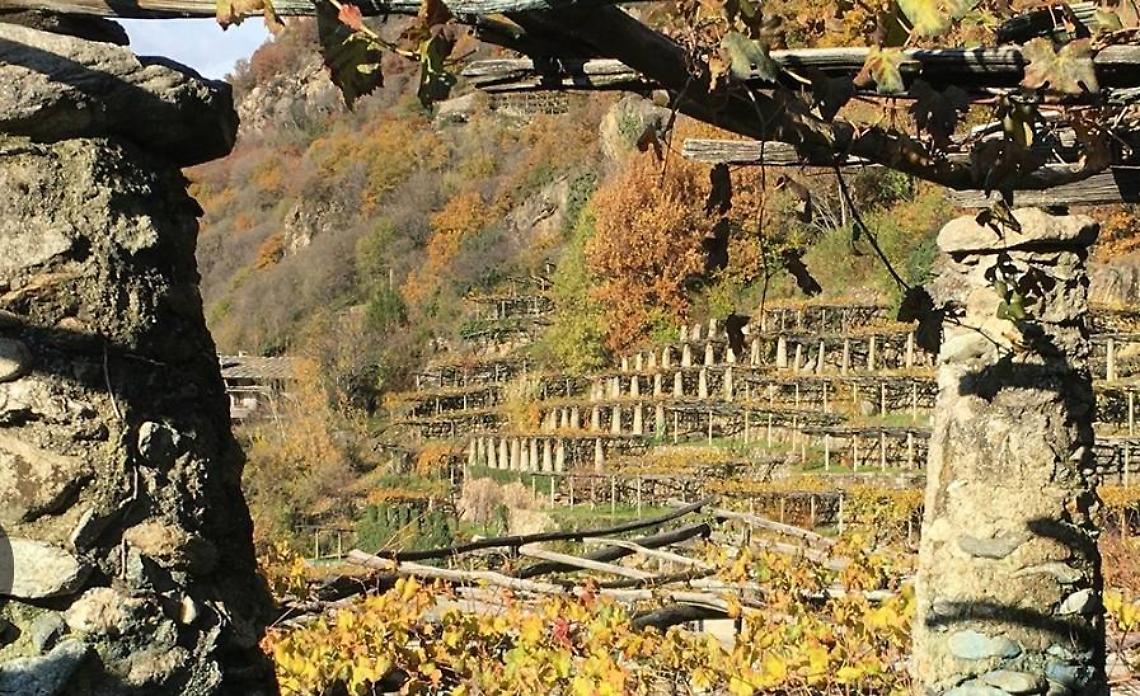 Il Canavese celebra la Giornata del Paesaggio con un convegno a Borgofranco dedicato ai terrazzamenti del Mombarone