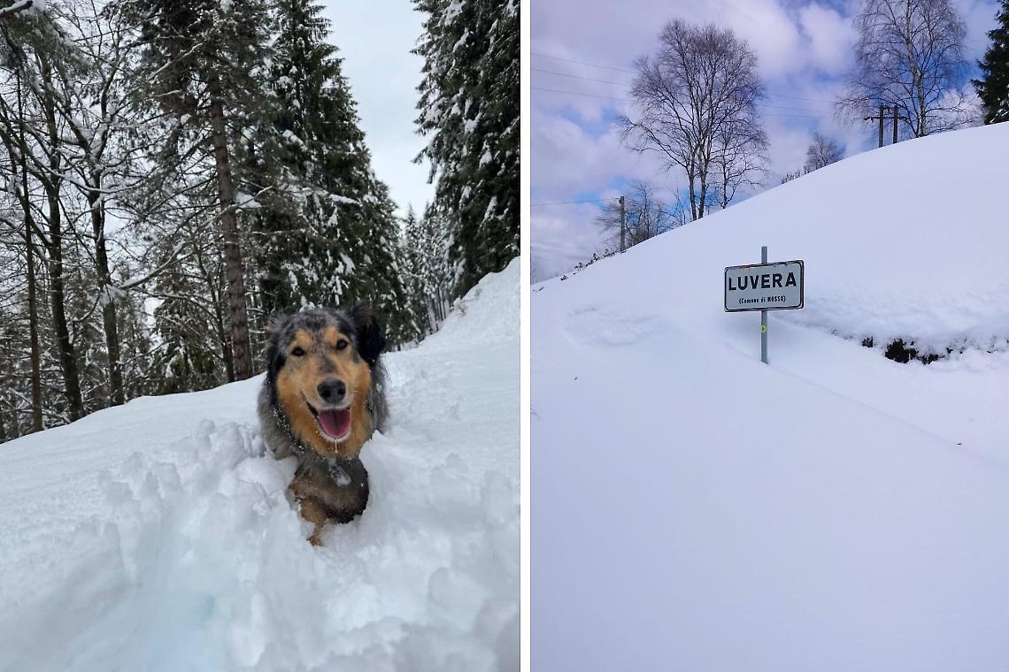 Oltre un metro di neve a Bielmonte: venti persone isolate, rischio valanghe