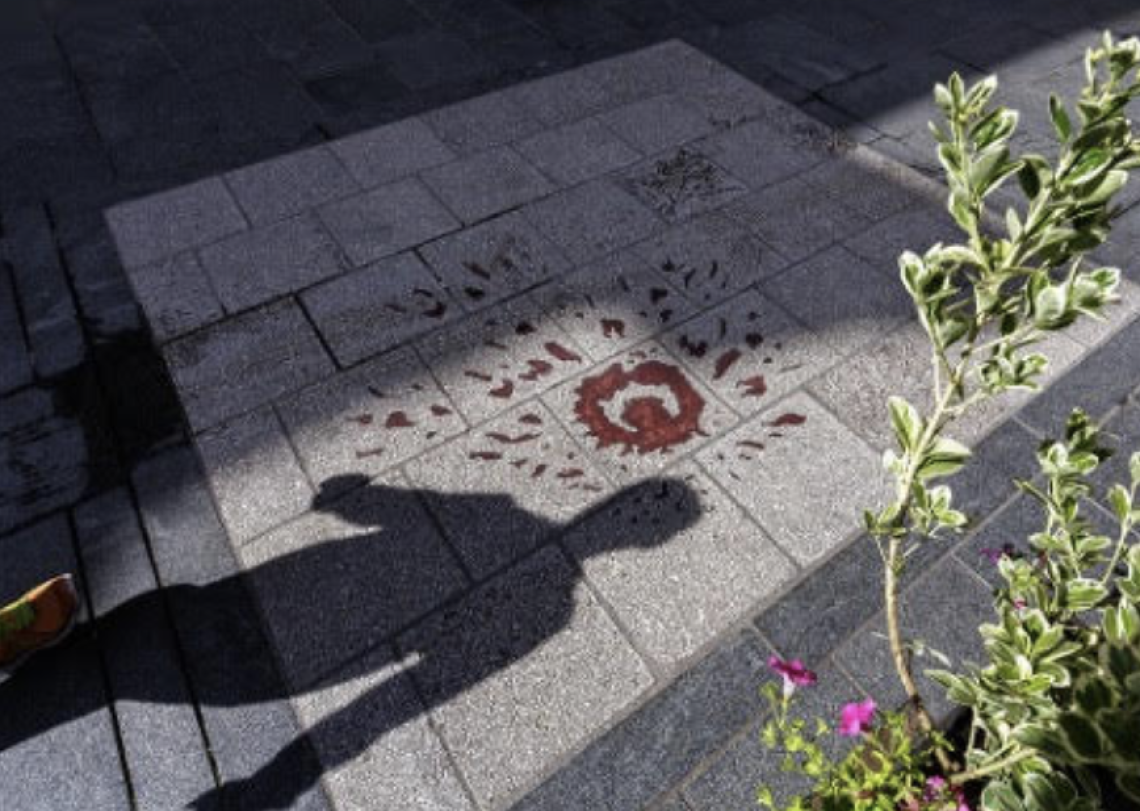 Le &ldquo;rose di Sarajevo&rdquo; 