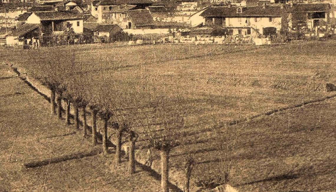 L&agrave; dove stagnava l&rsquo;acqua: la bonifica della palude di Settimo