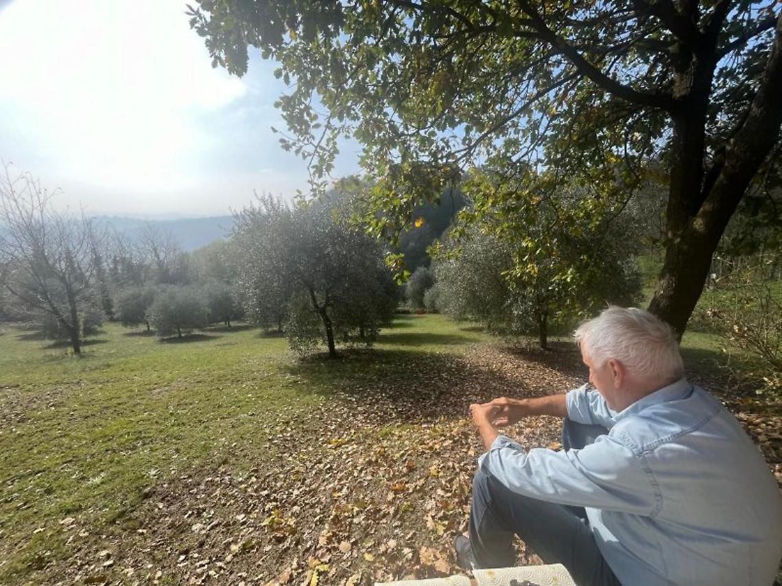 Murisengo punta sugli ulivi: nuova De.Co. agli uliveti del Monferrato