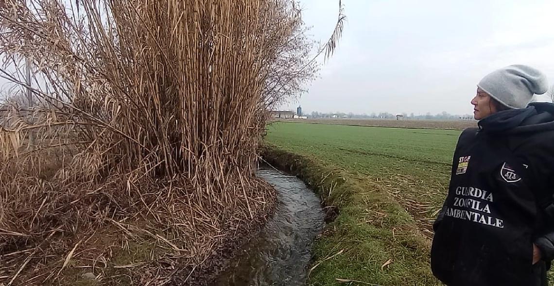 A Settimo Torinese, Borgaro e Caselle comandano i "bracconieri"