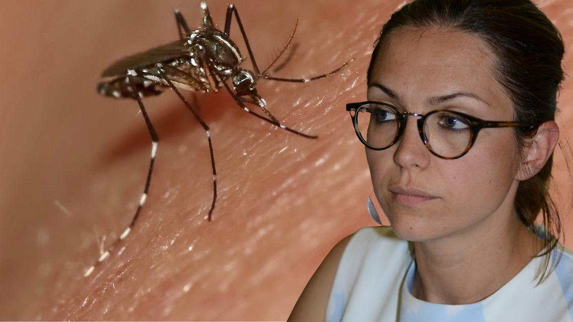 Alle zanzare la sindaca ci ha pensato?