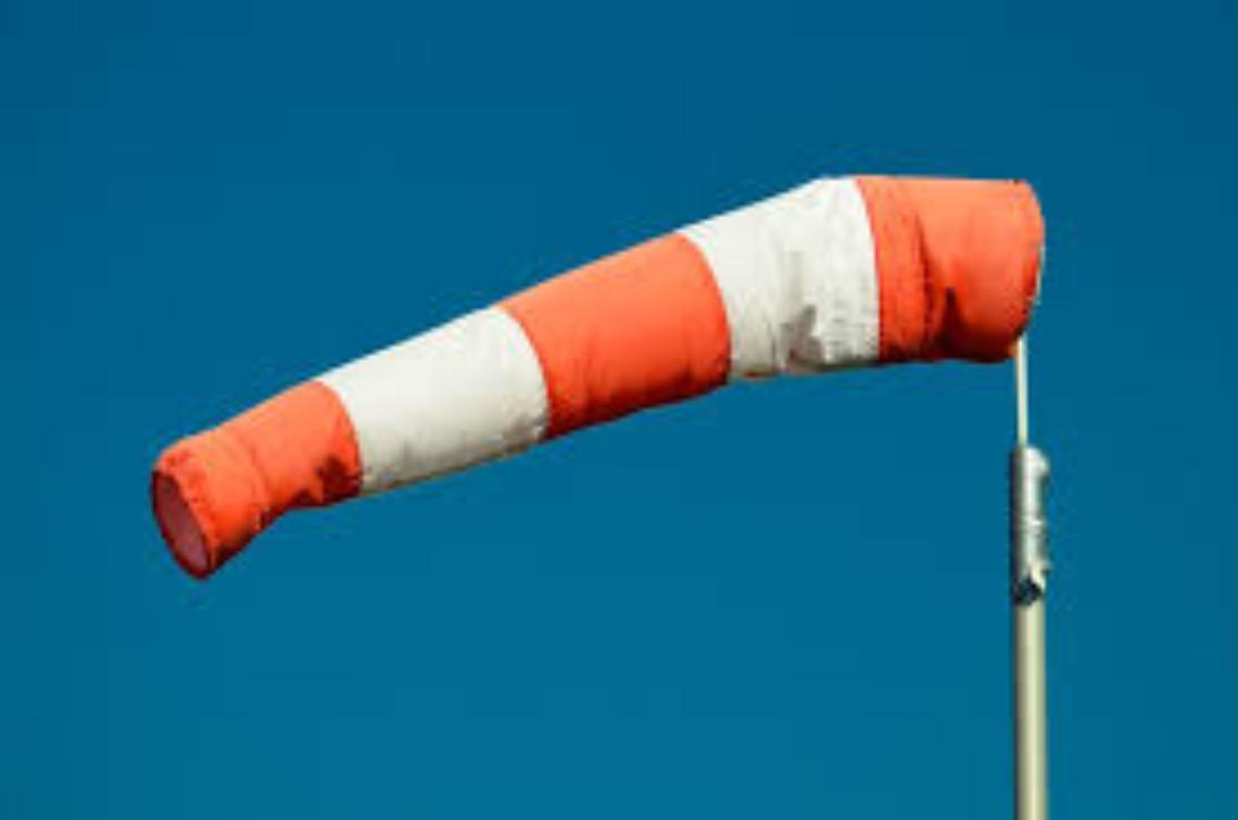 Vi&ugrave;, stop ai fal&ograve; 