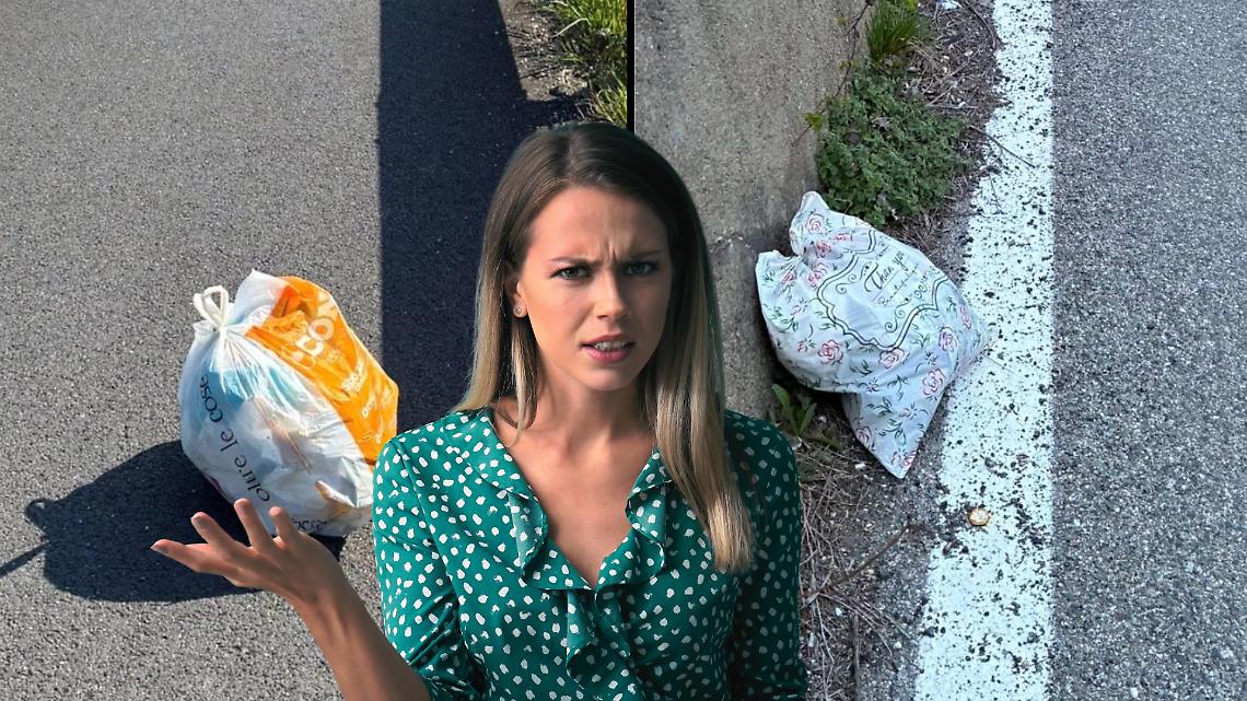 Rifiuti abbandonati in Canavese