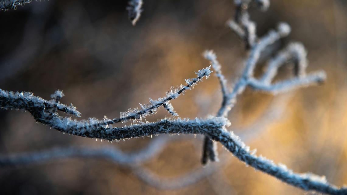 Gelate record in Piemonte
