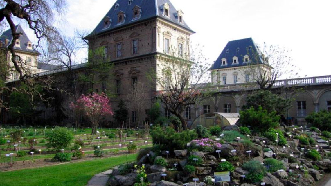 Orto botanico, riapre il cuore verde del Valentino dopo quattro mesi di attesa