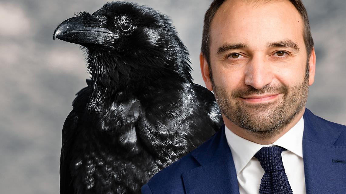 Cimitero monumentale infestato dai corvi. Lo Russo non sa che fare...