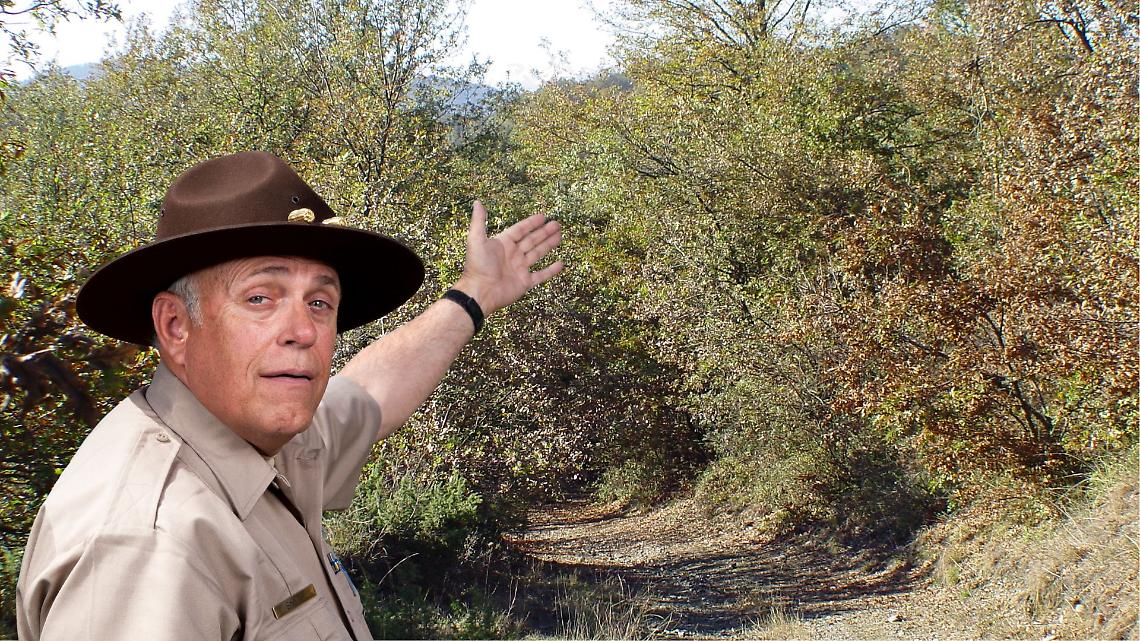 Bosco del Vaj, l&rsquo;Ente Parco replica alle proteste: &ldquo;Lavori necessari dopo l&rsquo;alluvione&rdquo;