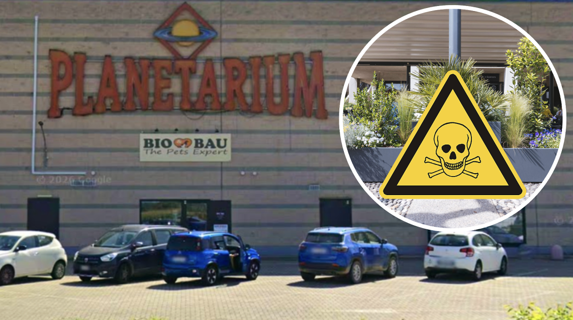 Planetarium di Caluso, guerra tra bar: tre denunciati per la benzina sulle piante del dehors