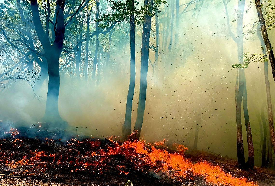 Baraggia, il fuoco torna a ferire la riserva: nuovo incendio nel pomeriggio di Pasqua