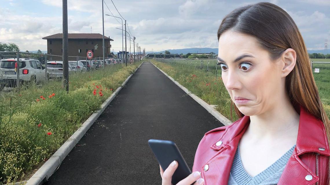 &laquo;Gli alberi in paese sono troppi, non ne piantiamo pi&ugrave;&raquo;: ma chi li ha visti?