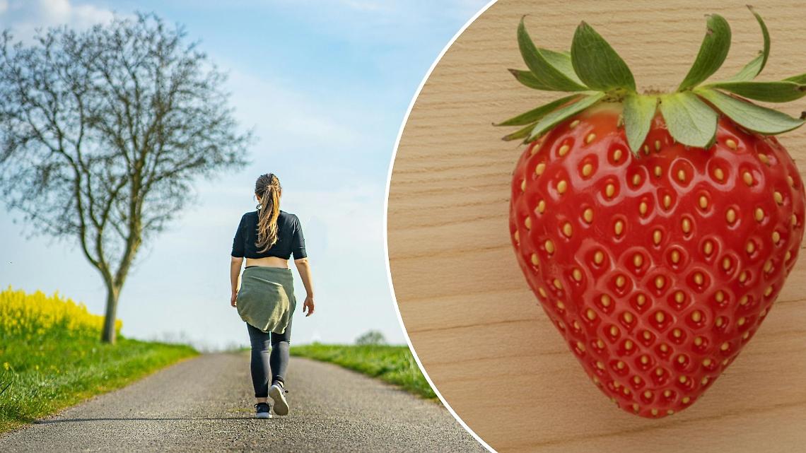 Dal Mulino Sambuy alla Festa delle Fragole:  una camminata unisce territorio e solidariet&agrave;