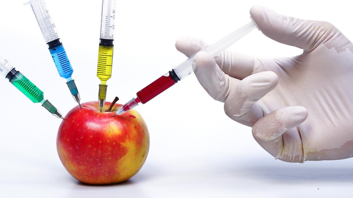 Nuovi OGM in Piemonte, Alice Ravinale: &ldquo;Senza regole rischi per agricoltori, consumatori e prodotti DOP&rdquo;