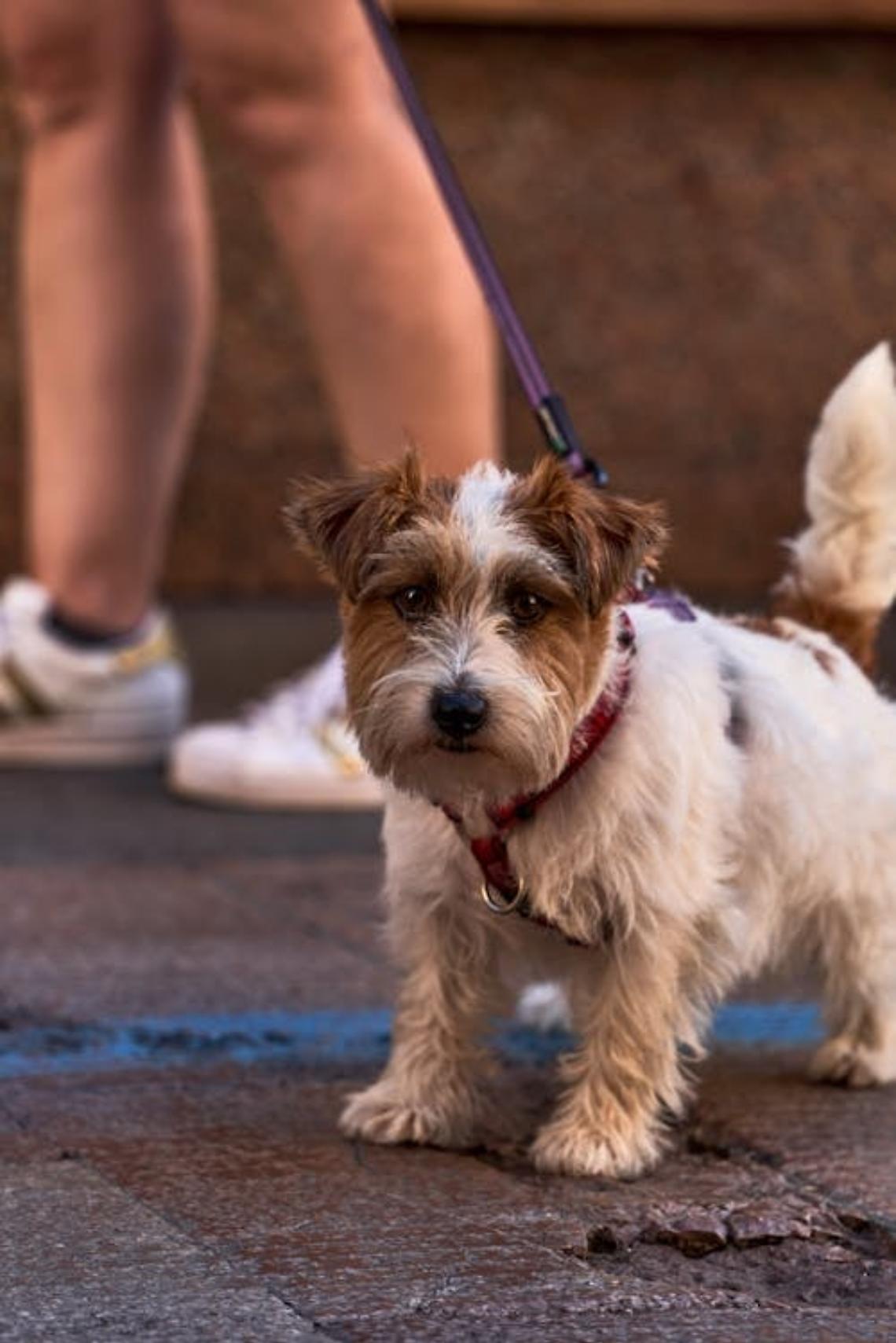 Salute &egrave;&hellip; Camminata Benefica: un passo insieme per il futuro.