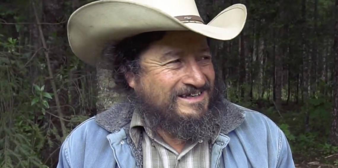 Michoac&aacute;n, il bosco sotto assedio: la guerra silenziosa contro chi difende la terra in Messico