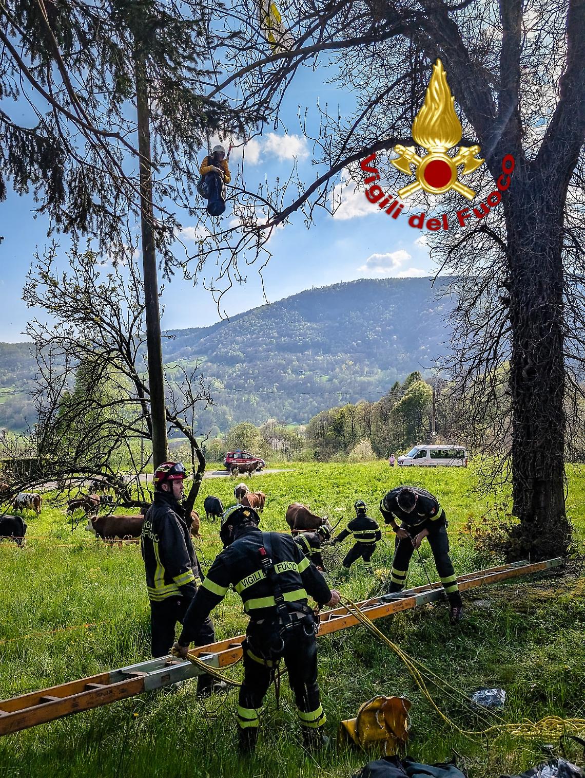 Parapendista resta impigliato tra gli alberi: salvato dai Vigili del Fuoco a Vico Canavese