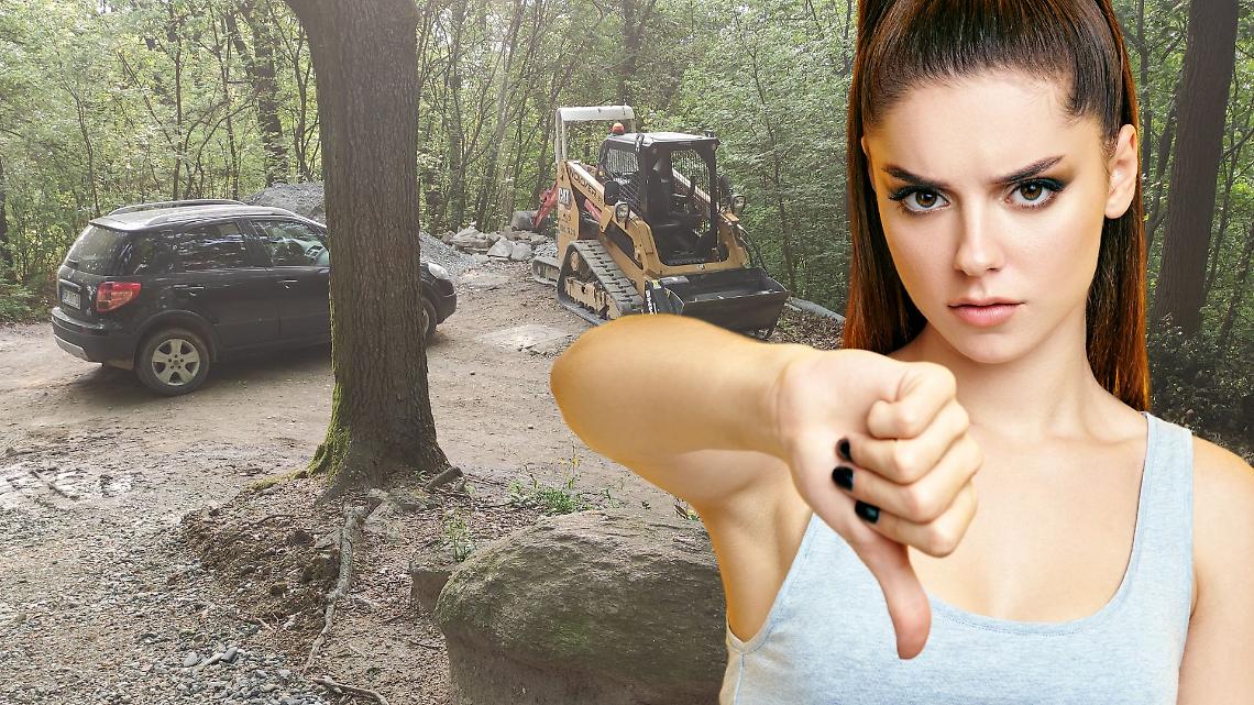 Bosco del Vaj, non si ferma la protesta: firme in aumento. Chiesta la sospensione dei lavori