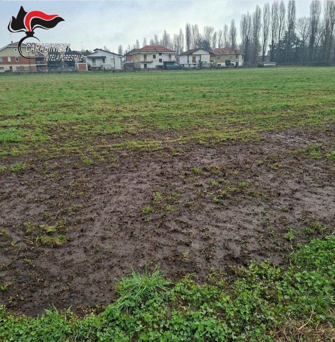 Sversamento illecito di reflui